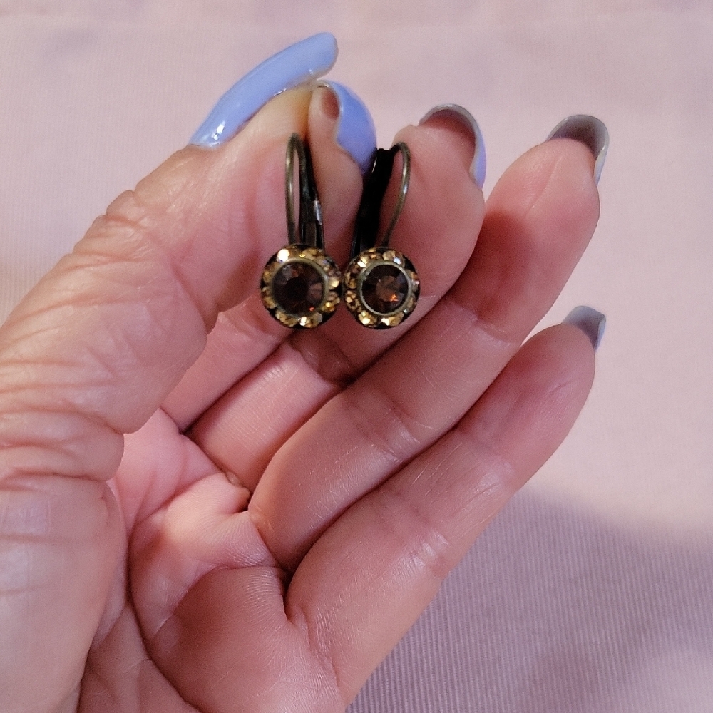 Source Unknown Gold and Brown Earrings